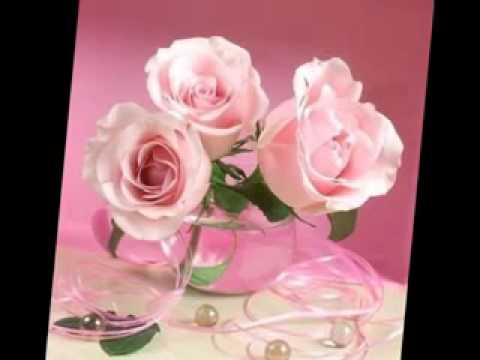 GRUPO 5 ME ENAMORE DE TI VIDEO grupo 5 me enamore de ti video: