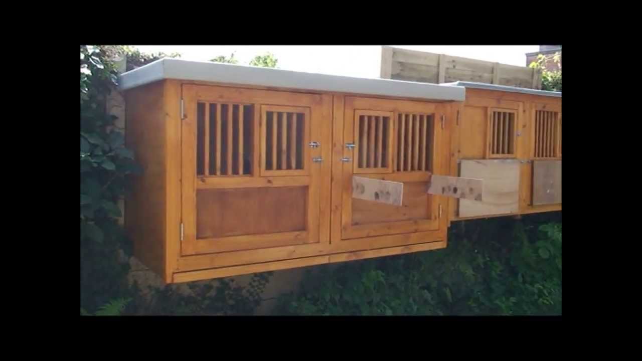 20 Lovely Pigeon Door Trap