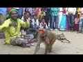 Comedy Drama Show Of Funny Indian Monkey Madari On Street Comedy Drama Show Of Funny Indian Monkey Madari On Street