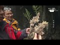 《地理中国》 石巷迷阵:令人晕头转向的“迷魂阵” 20190326 | CCTV科教 #3 《地理中国》 石巷迷阵:令人晕头转向的“迷魂阵” 20190326 | CCTV科教 #2
