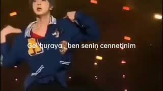 Ji̇nbts-Pied Piper Turkish Translation