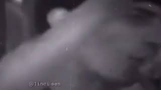Balaəli Qatar Icində Cox Super