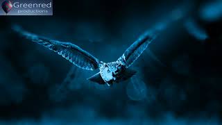 Sleep Music - Binaural Beats Delta Waves Sleeping Music, Insomnia Music, Relaxing Music for Sleep