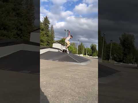 Switch FS and BS flips