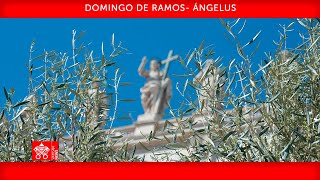 10 de abril de 2022, Celebración del Domingo de Ramos, Oración del Ángelus | Papa Francisco