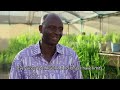 Research4Life and its impact on Agronomist in Burkina Faso