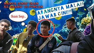 Vlog1 Trip To Warpat Puncak Bogor