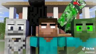 Tiktok Videos From Minecz