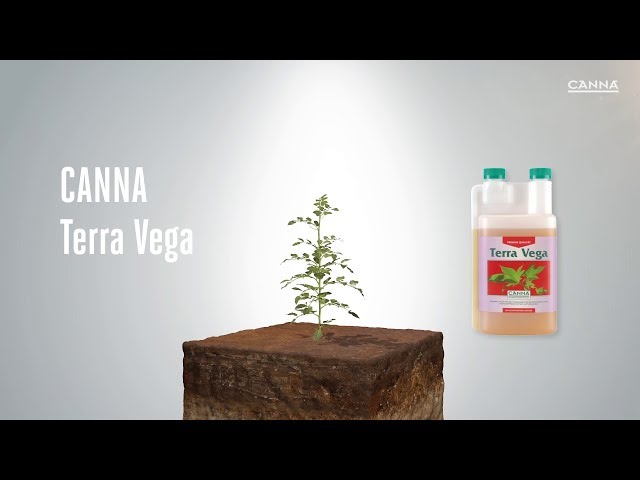 Watch (Deutsch) CANNA Terra Vega on YouTube.