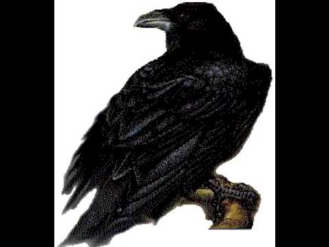 a biography of edgar allan poe a great author and poet 2018 marks mystery and horror writer edgar allan poe's 209th birthday the poet and biography of poe, “memoir of the author,” a bustle. a biography of edgar allan poe a great author and poet 2018 marks mystery and horror writer edgar allan poe's 209th birthday the poet and biography of poe, “memoir of the author,” a bustle.