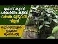 ഇനി ടെറസിലും കുരുമുളക്‌ I Bush pepper farming methods