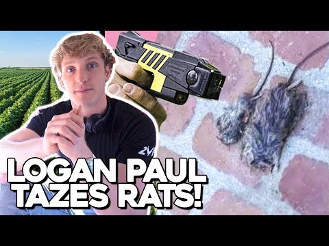 LOGAN PAUL turns VEGAN after ABUSING Animals