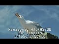 Panasonic HDC-HS700 60P Video Samples #2