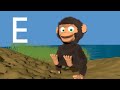 Alphabet song by the monkey