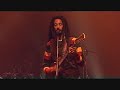 Julian Marley " Heathen " Live Africa Festival (2011)