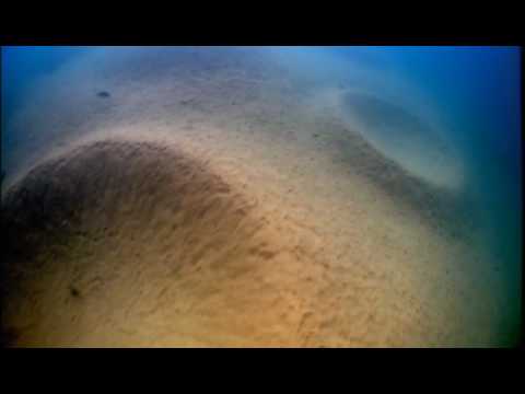 Lake Malawi