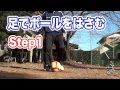 #538 動作説明付き サッカー上げ技#11-4 フリースタイルフットボール講座!リフトアップ Vol.538