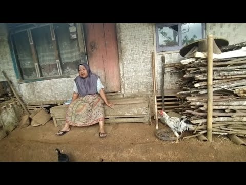 sungguh miris kehidupan di kampung ini desa mangkonjaya kecamatan bojonggambir