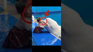 Kindness Of Animal Is Real Aura