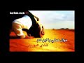 موال صلي يا ابن ادم شادي البوريني 2014
