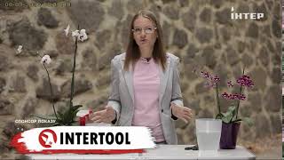 Удачный Проекттм Intertoolлоготип