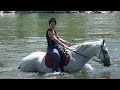 Zwemmen paarden Frankrijk 2011