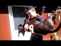Rex og Silva R.I.P.  :'(