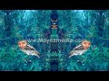 Shpongle - Divine Moments of Truth (Animated videoclip) !!!TRIPPY!!!