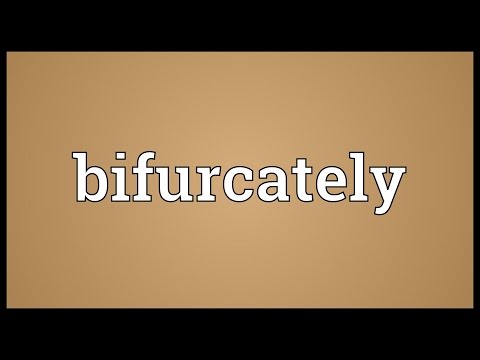 Header of bifurcately