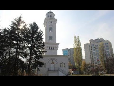 All Videos