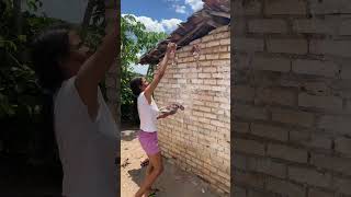 Colocando Carne Na Cordinha Da Felicidade De Sol