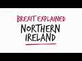Brexit explained: What is the problem with the Irish border?