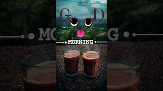 Aesthetic Good Morning Insta Story Ideas Coffee Instagram Story
