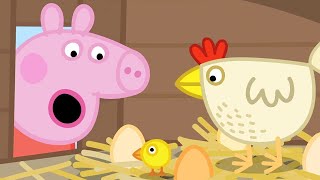 Peppa Pig 🐤Anneanne Domuz Tavuklar🌾Online komik çizgi filmler Derleme🌳Çocuklar i