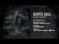 Crepuscular Video preview