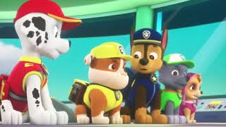 Paw Patrol Pups Save A Wind Surfing Pig