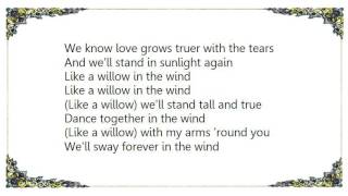 Watch Kathy Mattea Willow In The Wind video