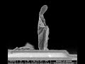 Virgin Mary Sighting, using a scanning electron microscope