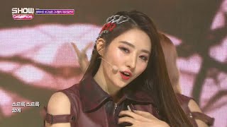 Show Champion EP.272 DreamCatcher -You and I
