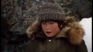The Courage of Kavik The Wolfdog 1980 Full Movie Family Adventure Drama