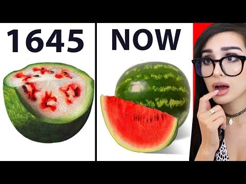 FOOD That Used to Look DIFFERENT