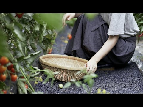여 름 방 학 👩🌾