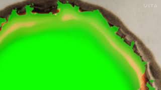 Paper Burning Animation - Green Screen By Green Screen Tutorial