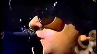Watch Elvis Costello He