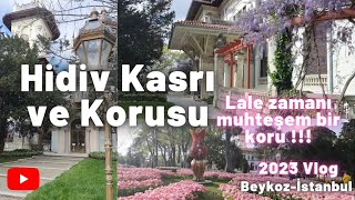 Hidiv Kasrı Ve Korusu -Lale Zamanı İstanbulda Gezilecek Yerler Vlog 2023