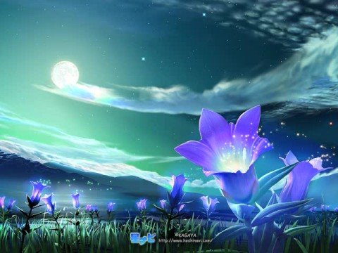 Remember This Night- Chill out Mix