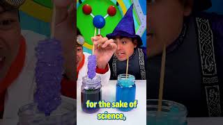 How To Make Rock Candy Sugar Crystal With Ryan's World!