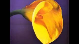 Watch Swans Let It Come Down video