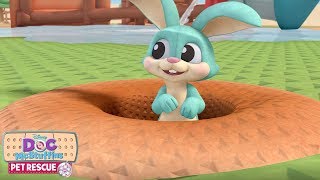 Billions Of Bunnies Pet Rescue Doc Mcstuffins Disney Junior