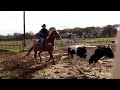 Brent Bennett performance horses.... Walking forward ... Working horses when it's to wet... Training